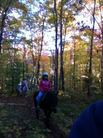Algonquin Highlands Trail Riding & Farm