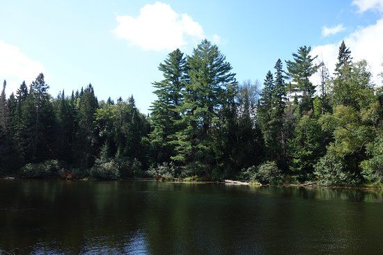Tea Lake Dam Picnic Area